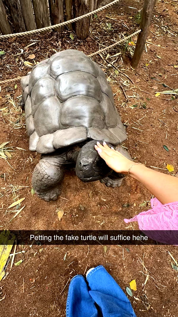 emxllouise image ~ Altpins