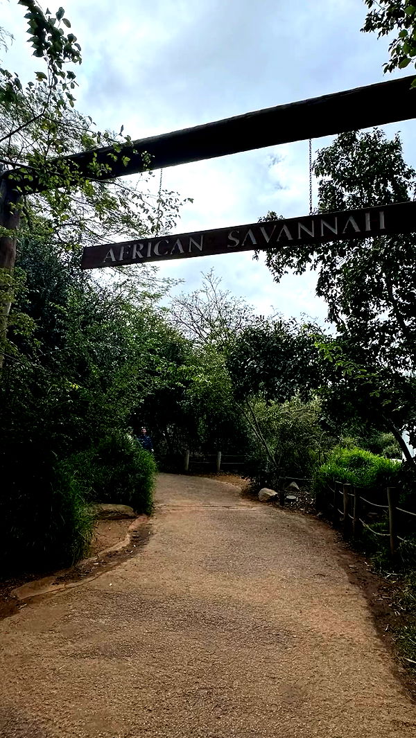 emxllouise image ~ Altpins