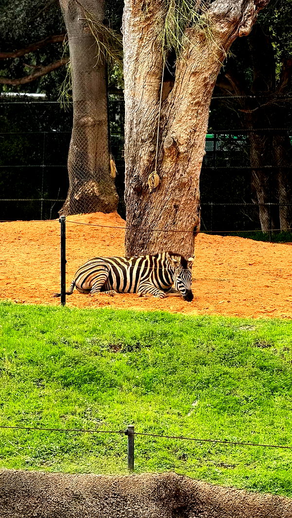 emxllouise image ~ Altpins