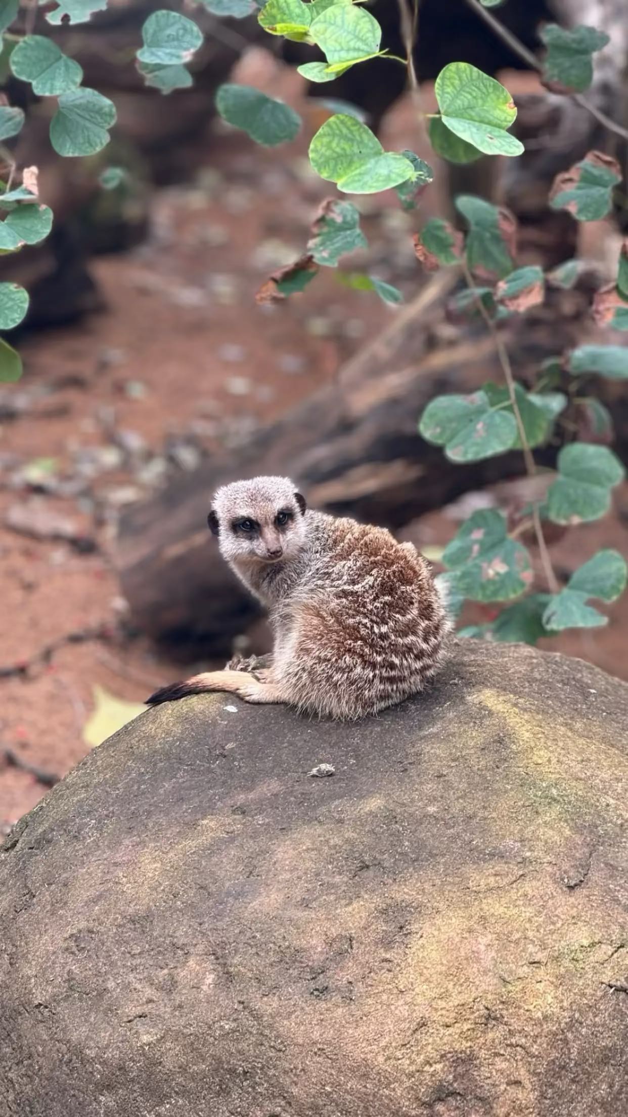 emxllouise snapchat image archive image