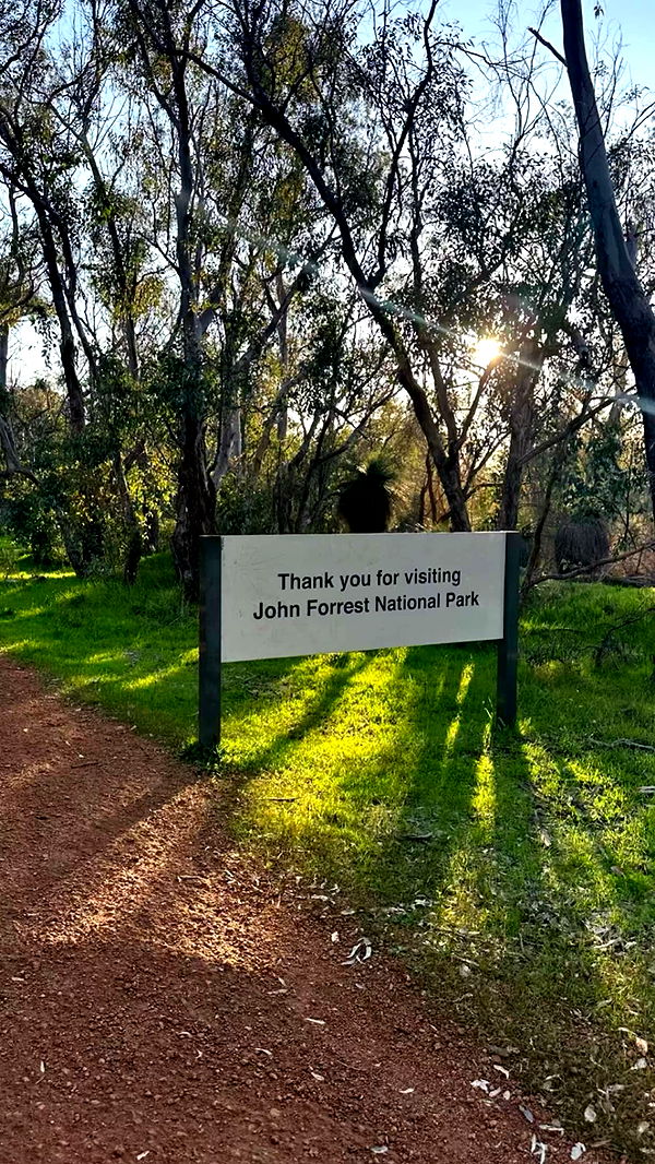 emxllouise image ~ Altpins