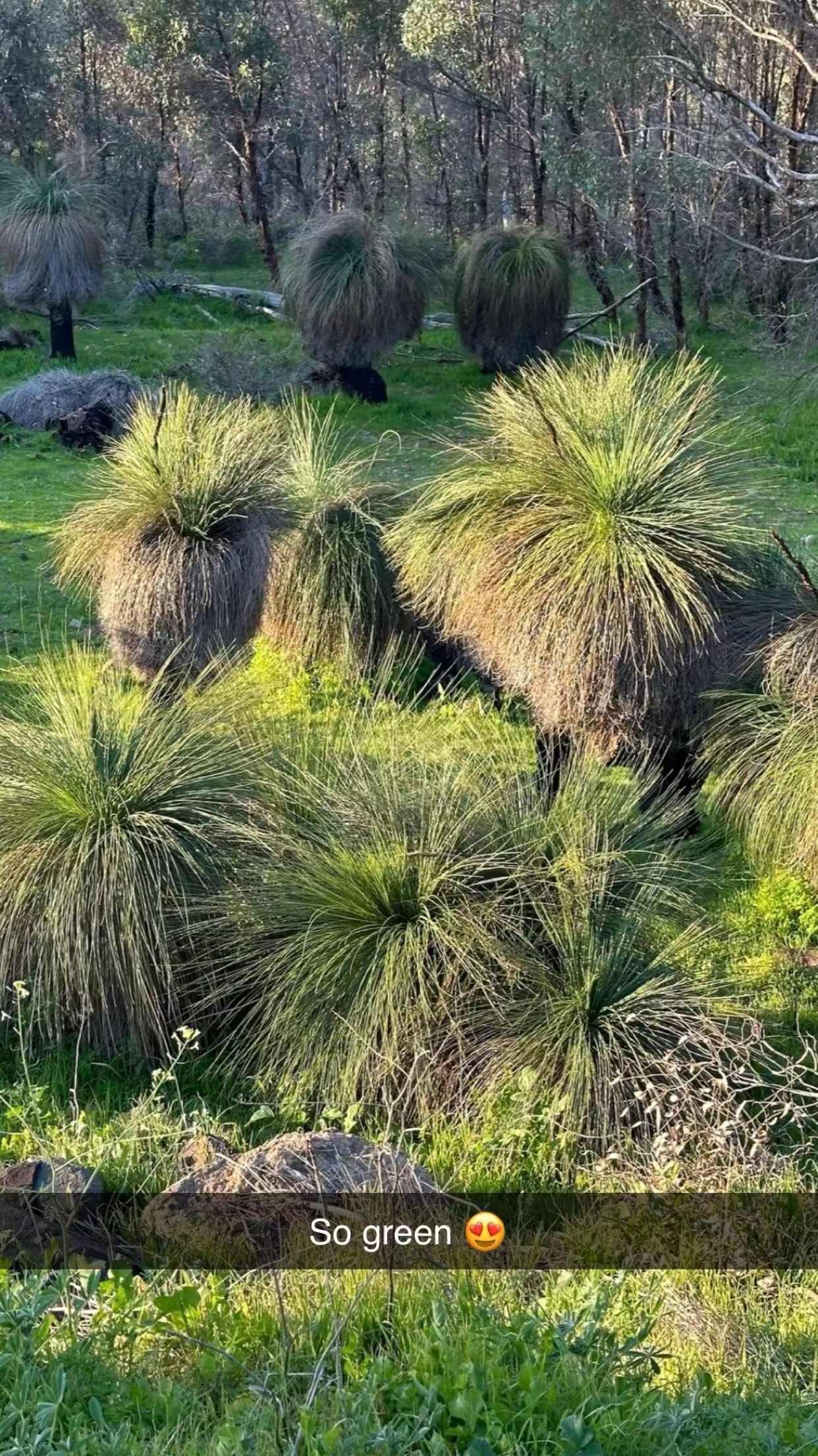 emxllouise snapchat image archive image