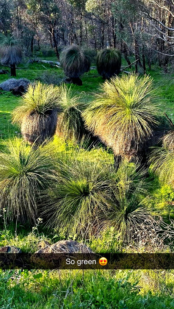 emxllouise image ~ Altpins