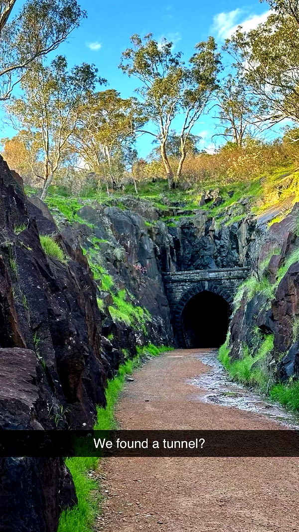 emxllouise image ~ Altpins