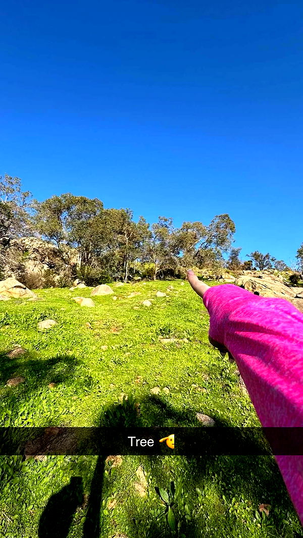 emxllouise image ~ Altpins