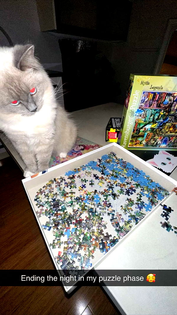 emxllouise image ~ Altpins