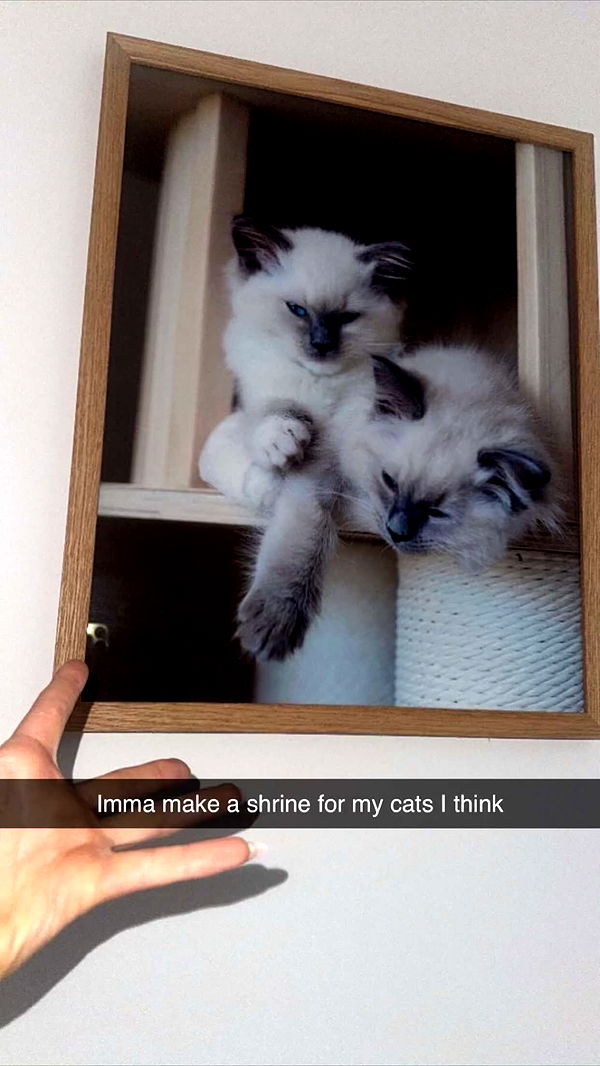 emxllouise image ~ Altpins