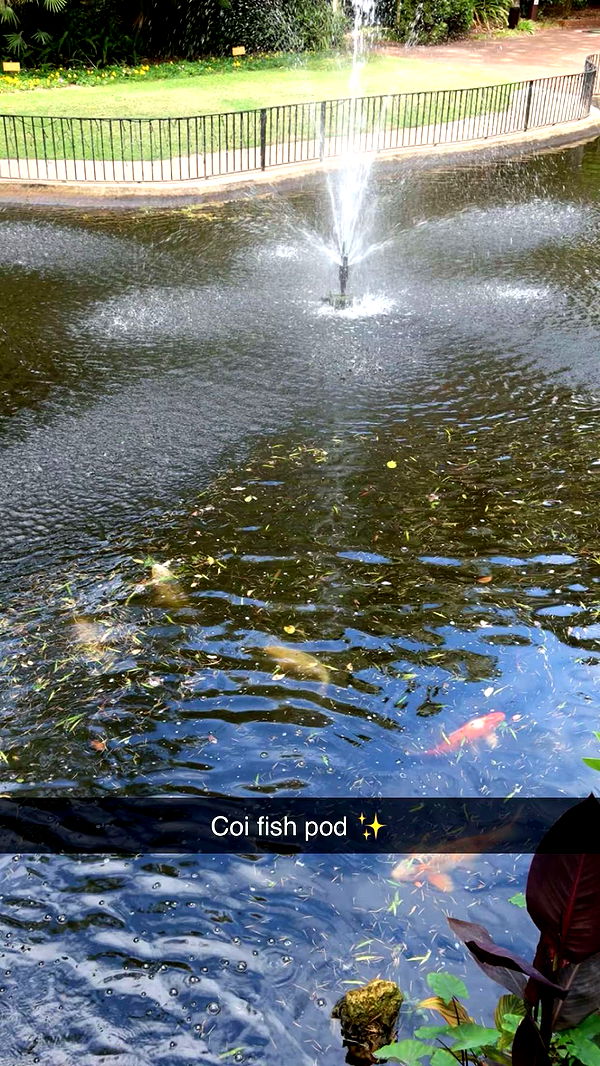 emxllouise image ~ Altpins