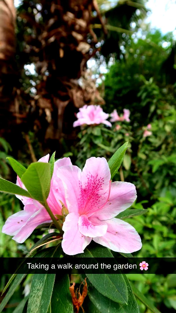 emxllouise image ~ Altpins