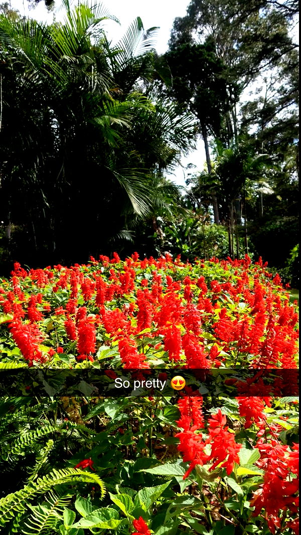 emxllouise image ~ Altpins