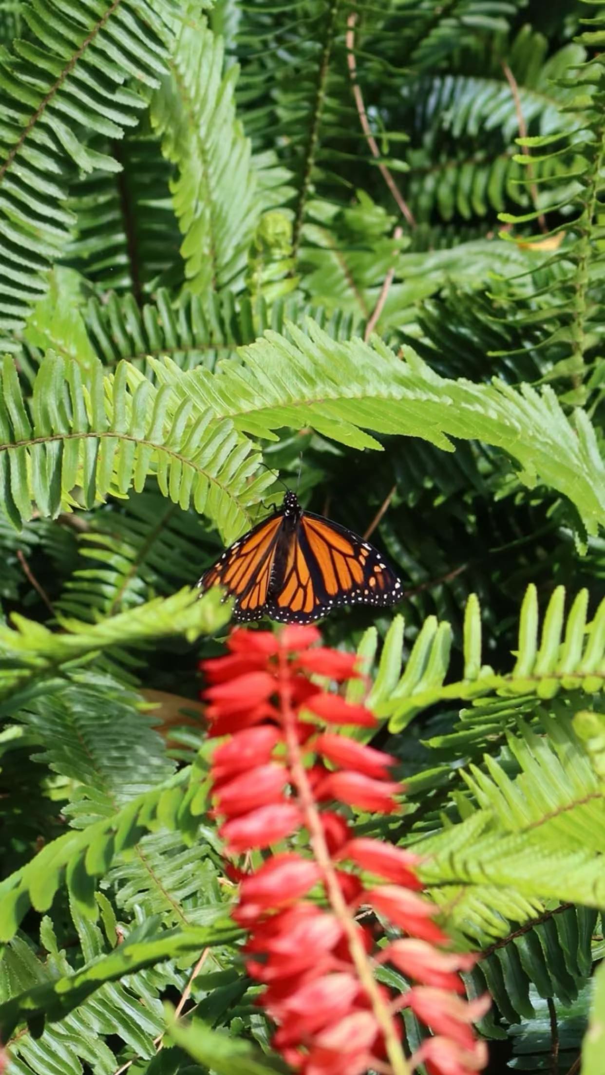 emxllouise snapchat image archive image