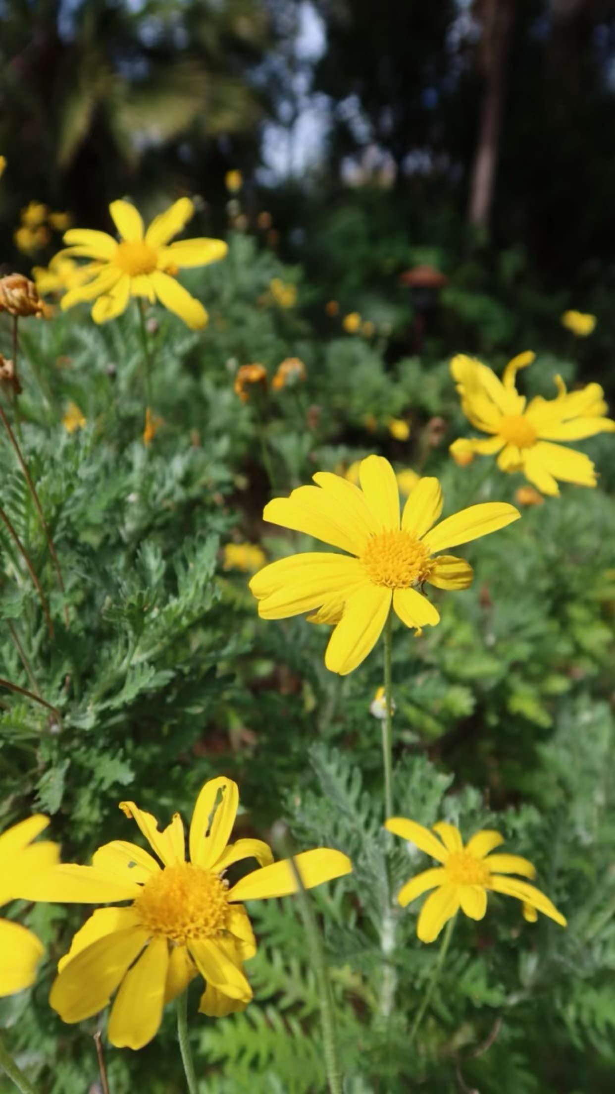 emxllouise snapchat image archive image