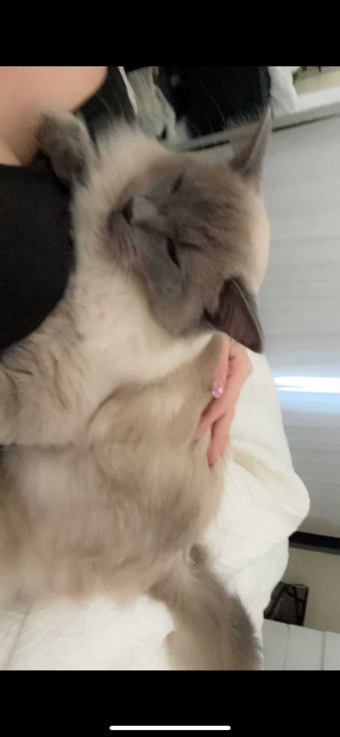 emxllouise snapchat image archive image