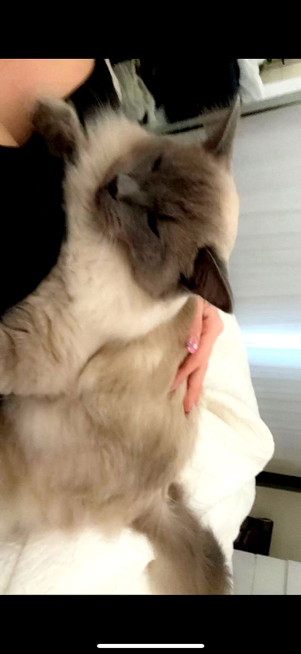 emxllouise image ~ Altpins