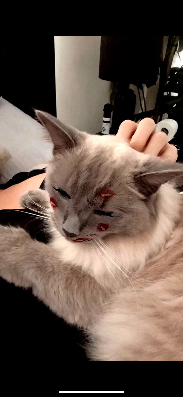 emxllouise image ~ Altpins