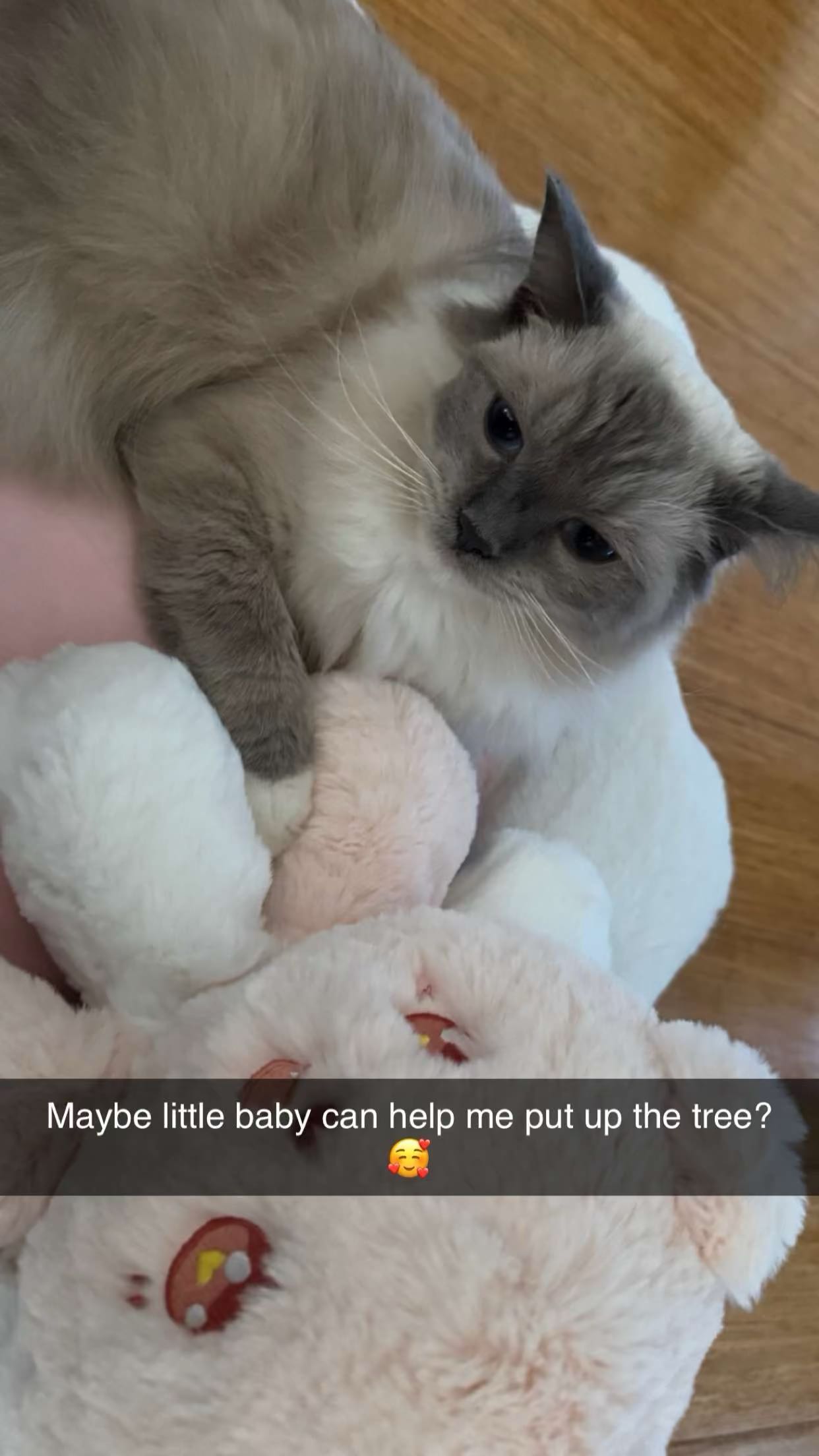 emxllouise snapchat image archive image