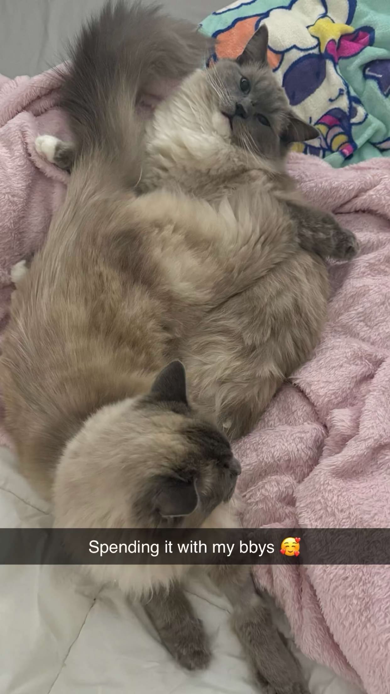 emxllouise snapchat image archive image