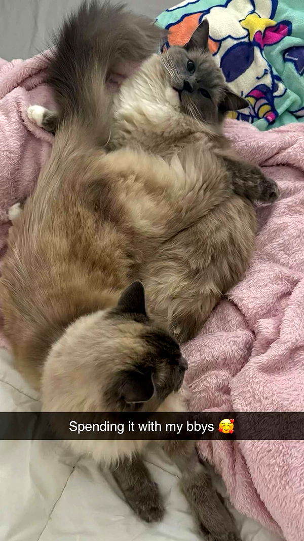 emxllouise image ~ Altpins