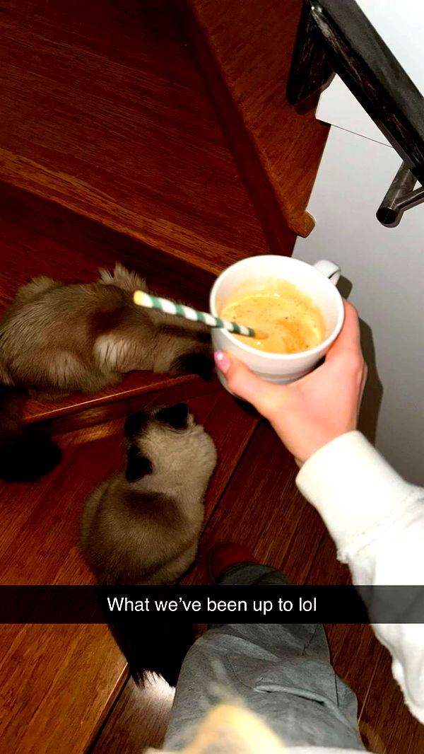 emxllouise image ~ Altpins