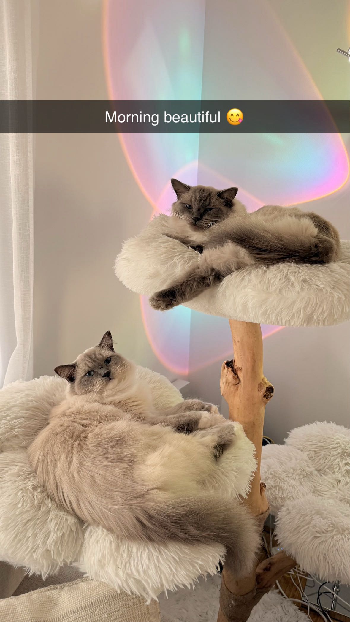 emxllouise snapchat image archive image