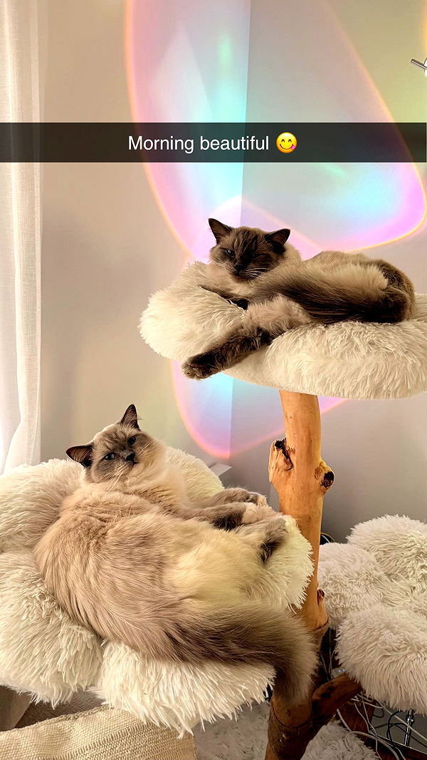 emxllouise image ~ Altpins