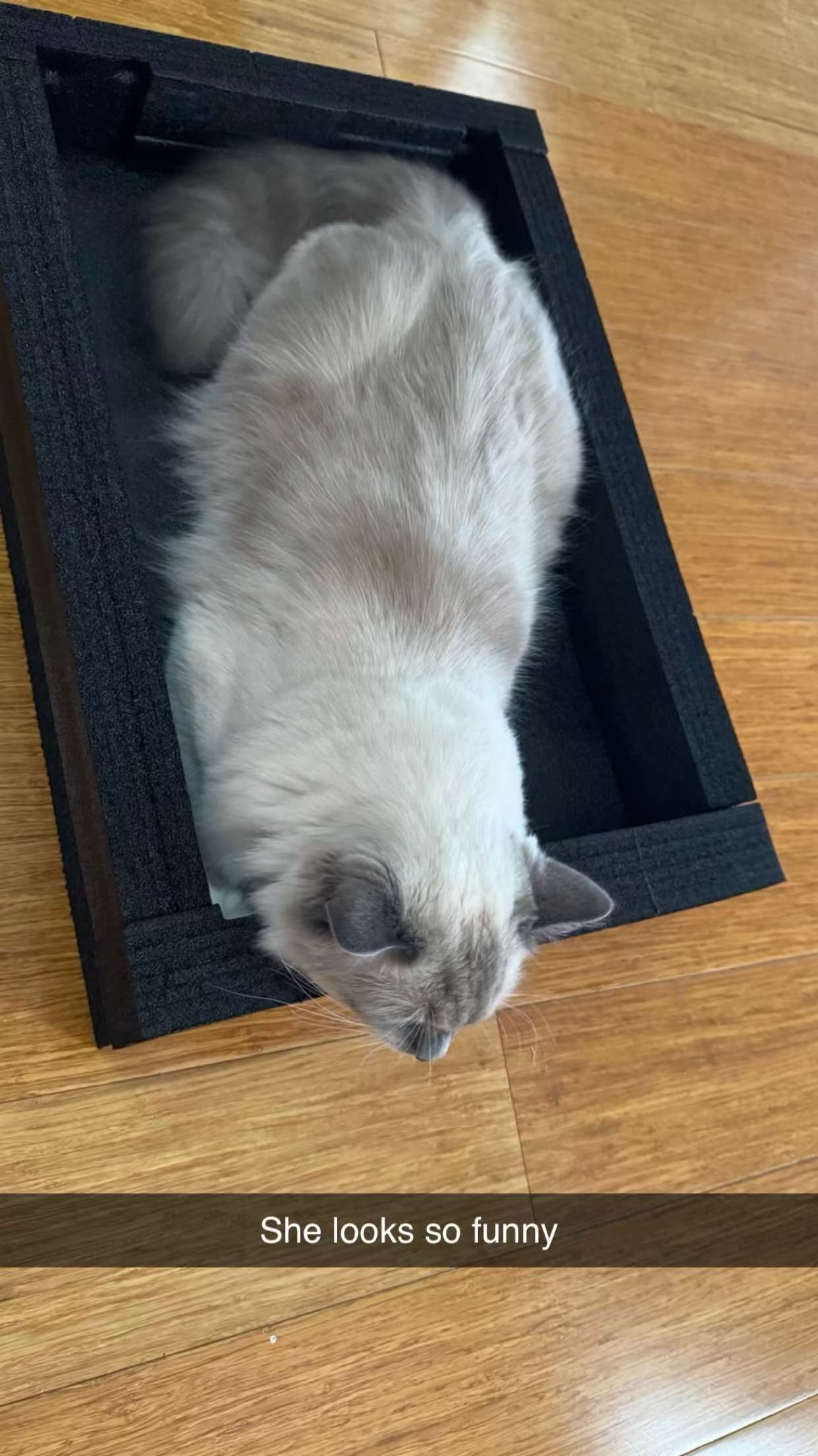 emxllouise snapchat image archive image