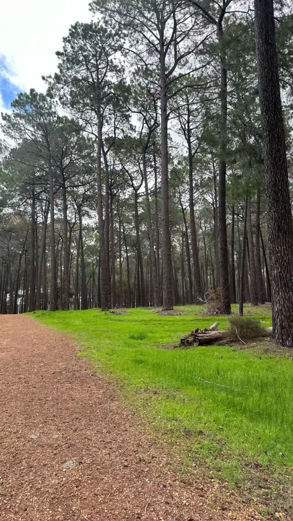 emxllouise snapchat image archive image