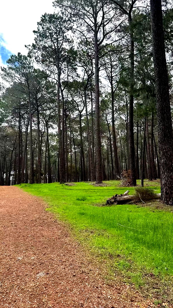 emxllouise image ~ Altpins