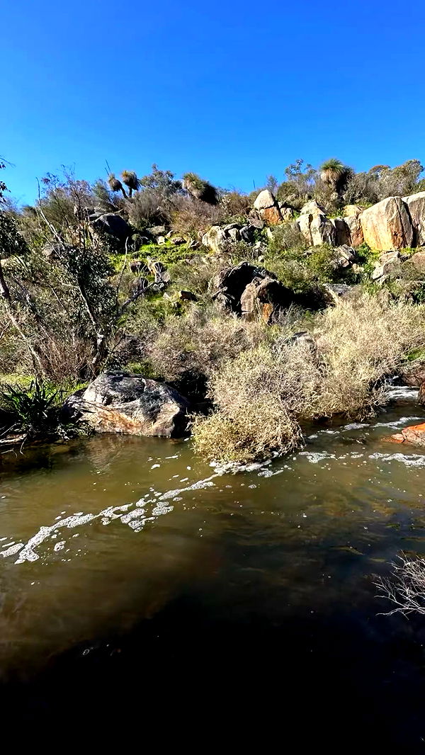 emxllouise image ~ Altpins