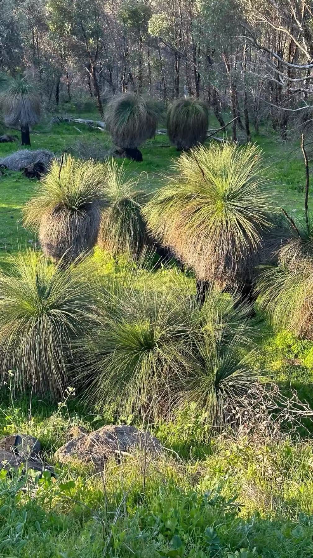 emxllouise snapchat image archive image