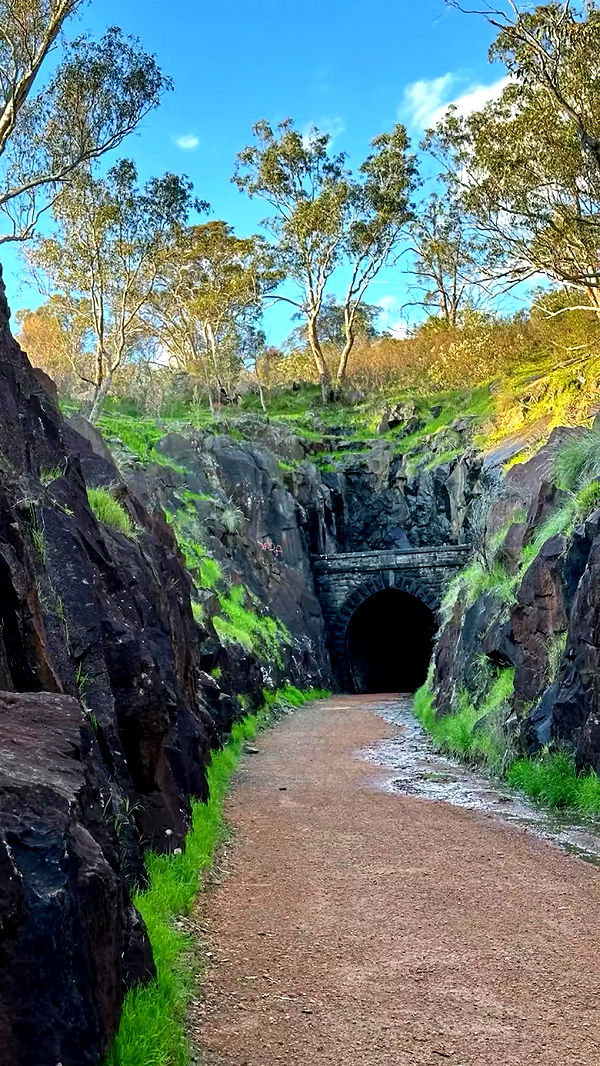 emxllouise image ~ Altpins