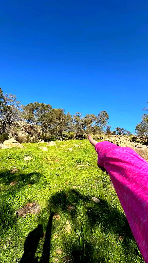 emxllouise image ~ Altpins