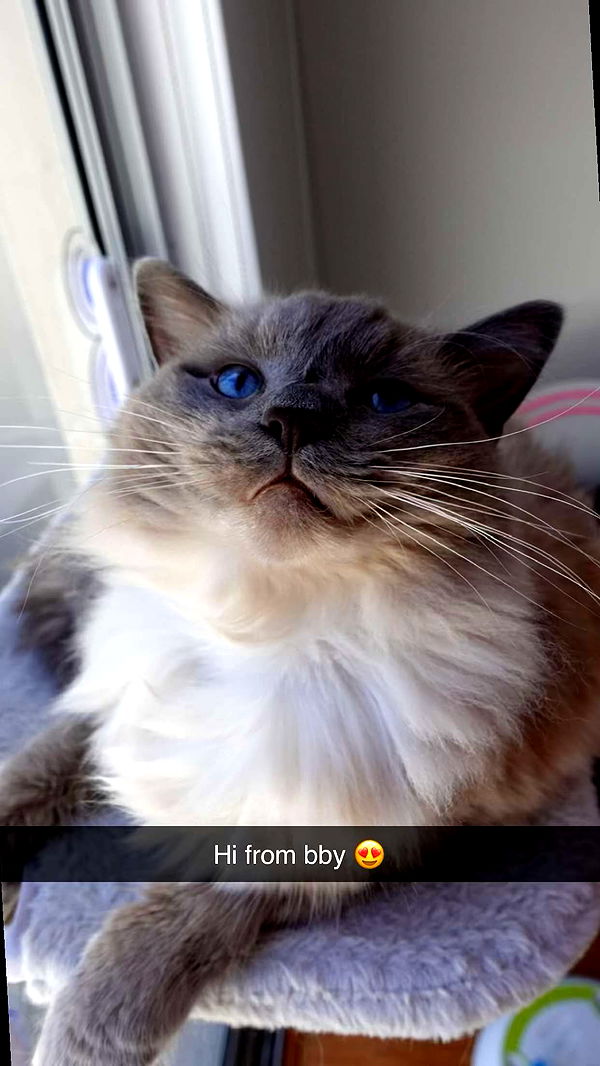 emxllouise image ~ Altpins