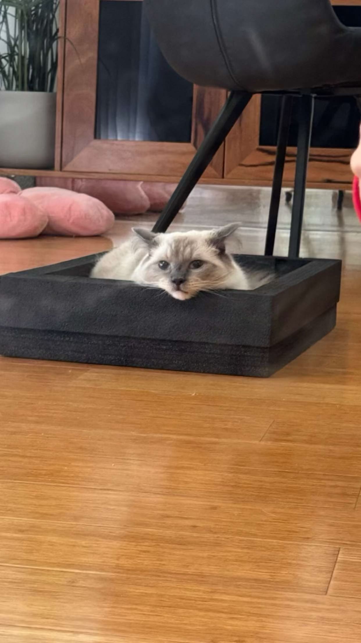 emxllouise snapchat image archive image