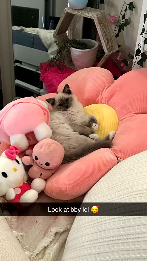 emxllouise image ~ Altpins