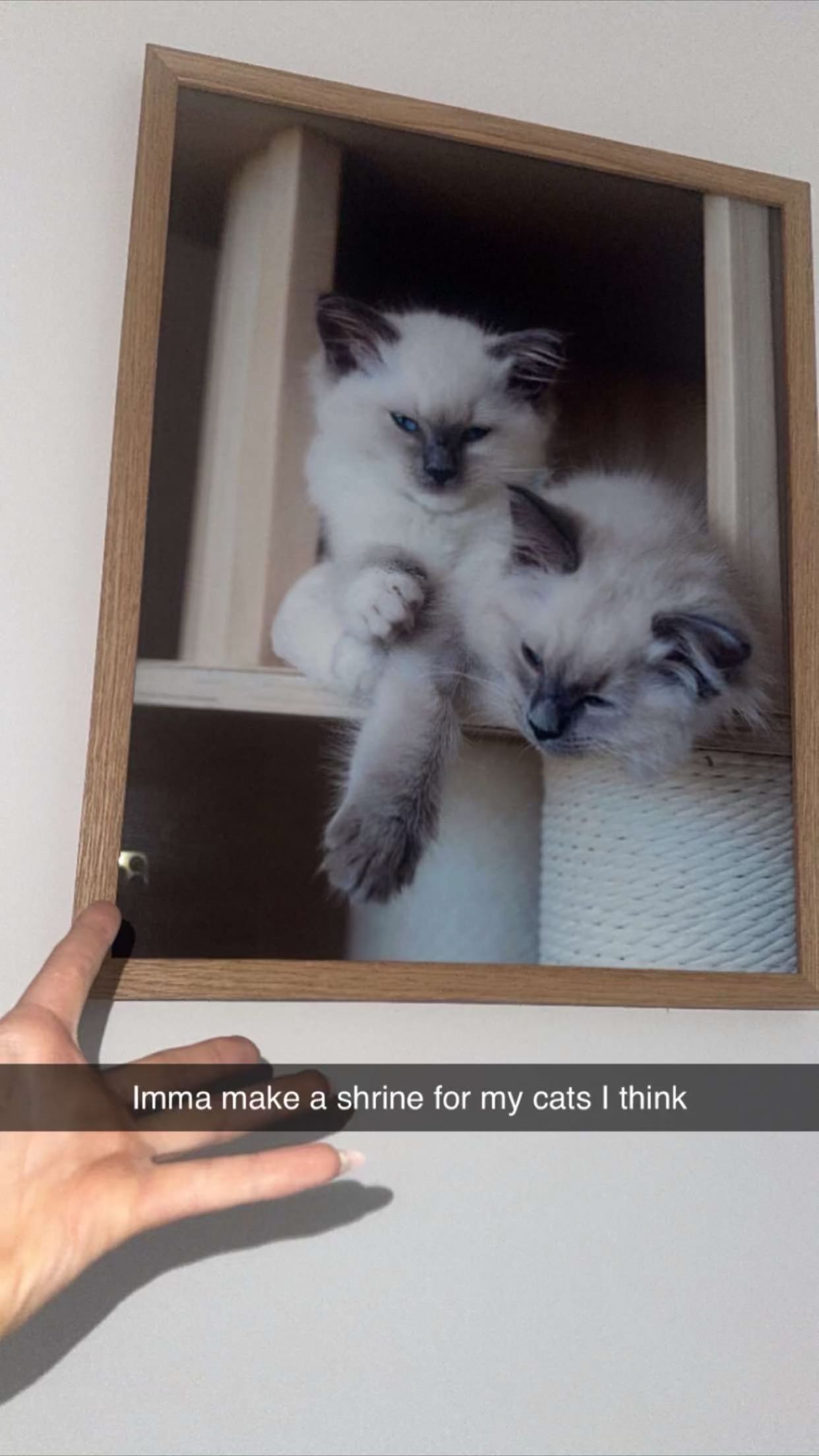 emxllouise snapchat image archive image