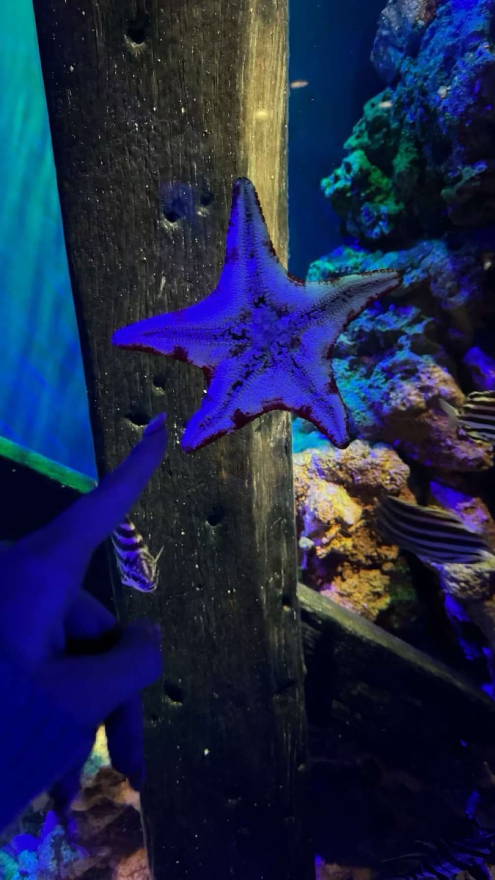 emxllouise snapchat image archive image