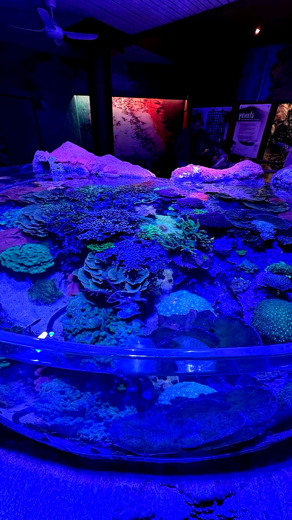 emxllouise image ~ Altpins