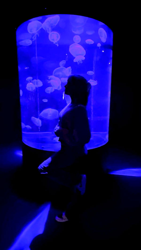 emxllouise image ~ Altpins