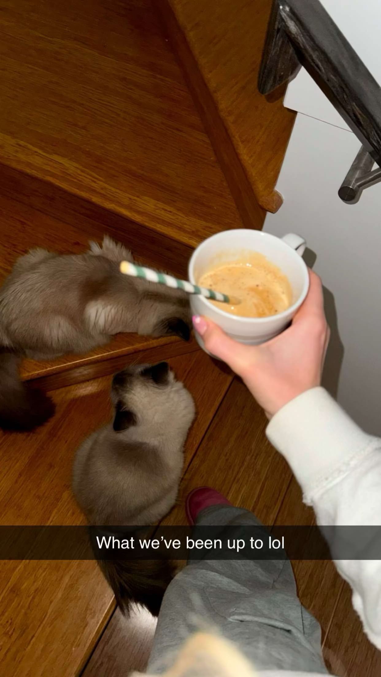 emxllouise snapchat image archive image