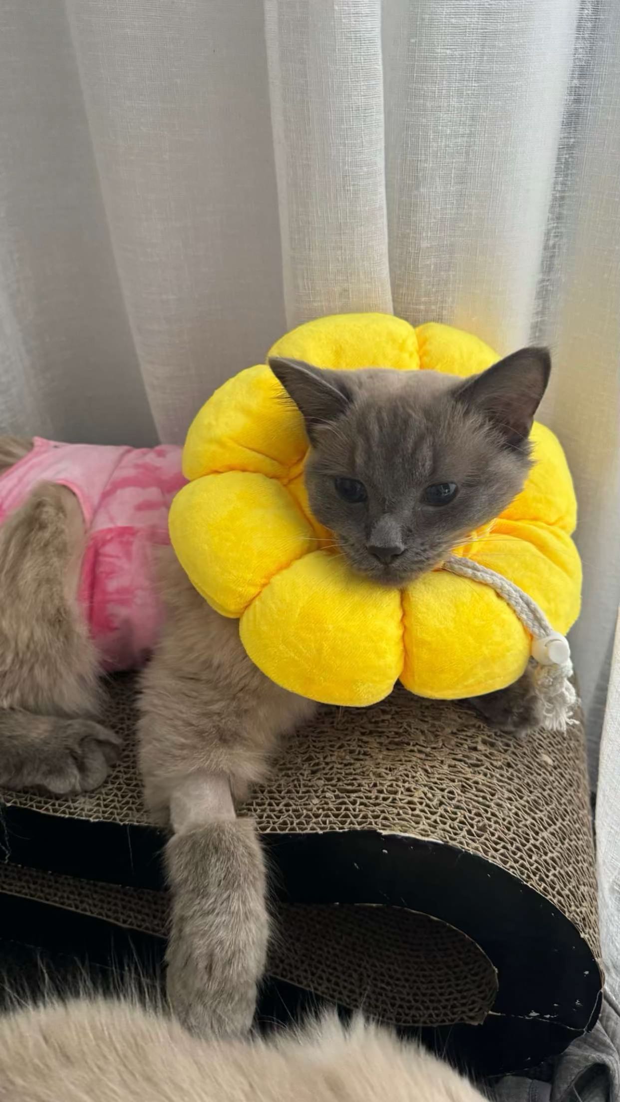 emxllouise snapchat image archive image