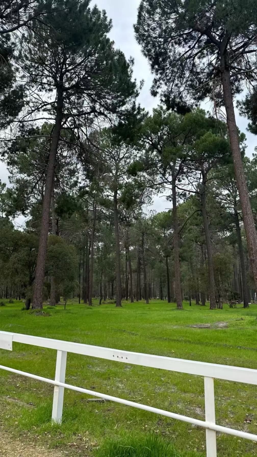 emxllouise snapchat image archive image