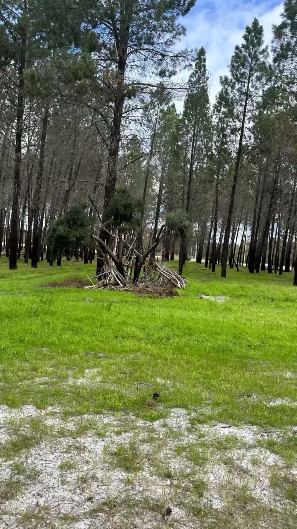 emxllouise snapchat image archive image