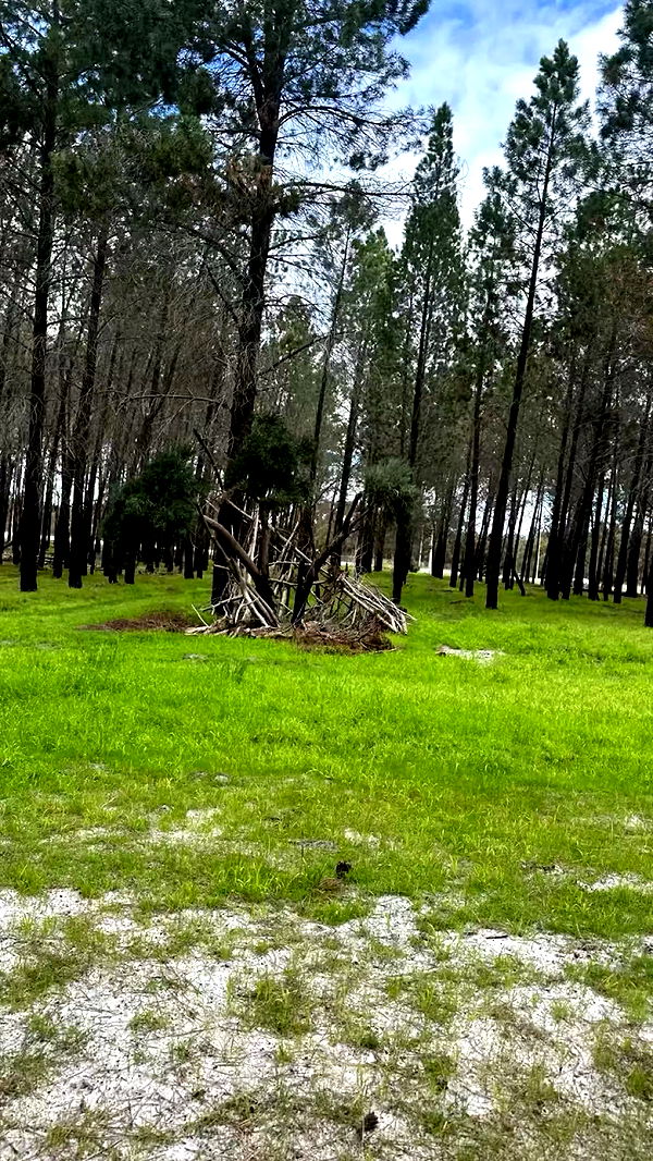 emxllouise image ~ Altpins