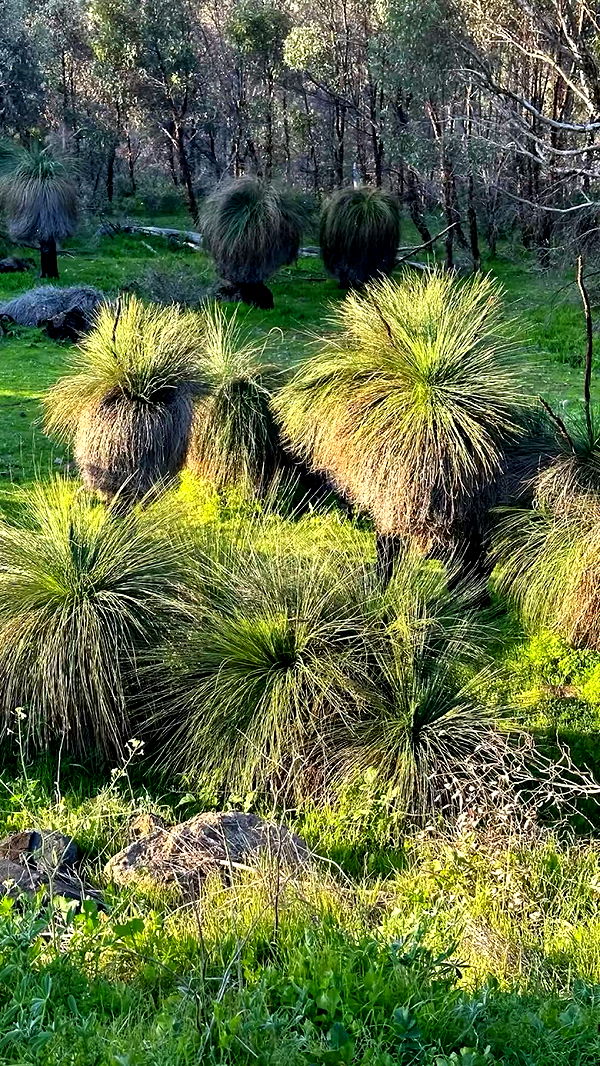 emxllouise image ~ Altpins