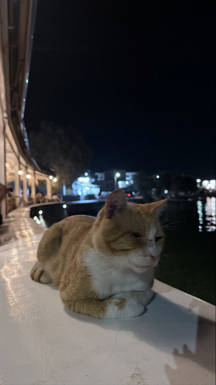 emxllouise snapchat image archive image