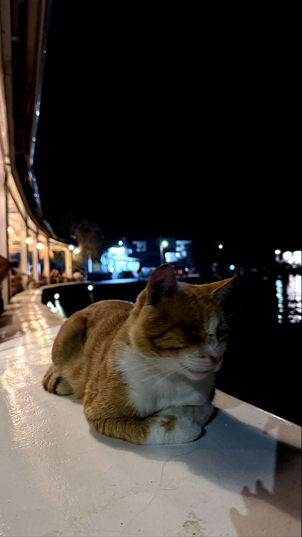 emxllouise image ~ Altpins