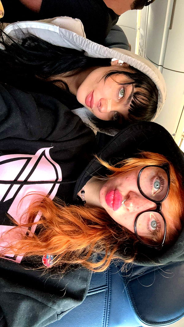 endangerdreamer image ~ Altpins