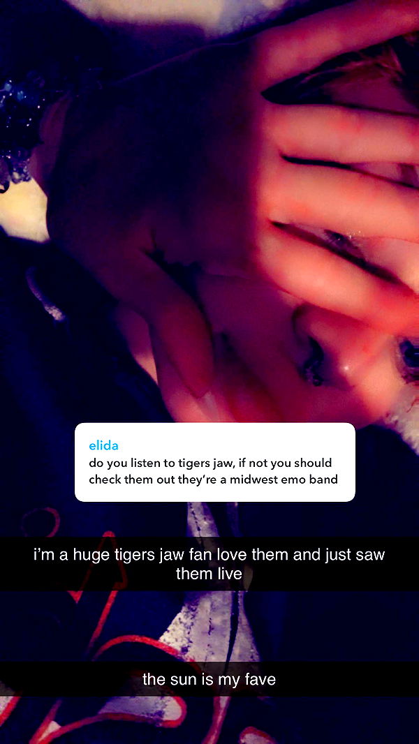 endangerdreamer image ~ Altpins