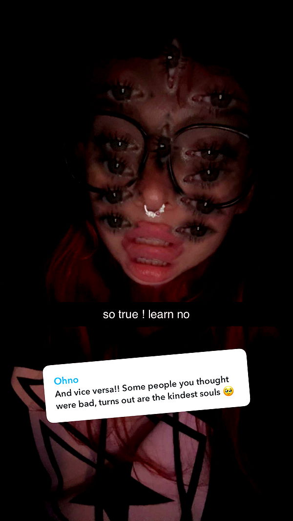 endangerdreamer image ~ Altpins